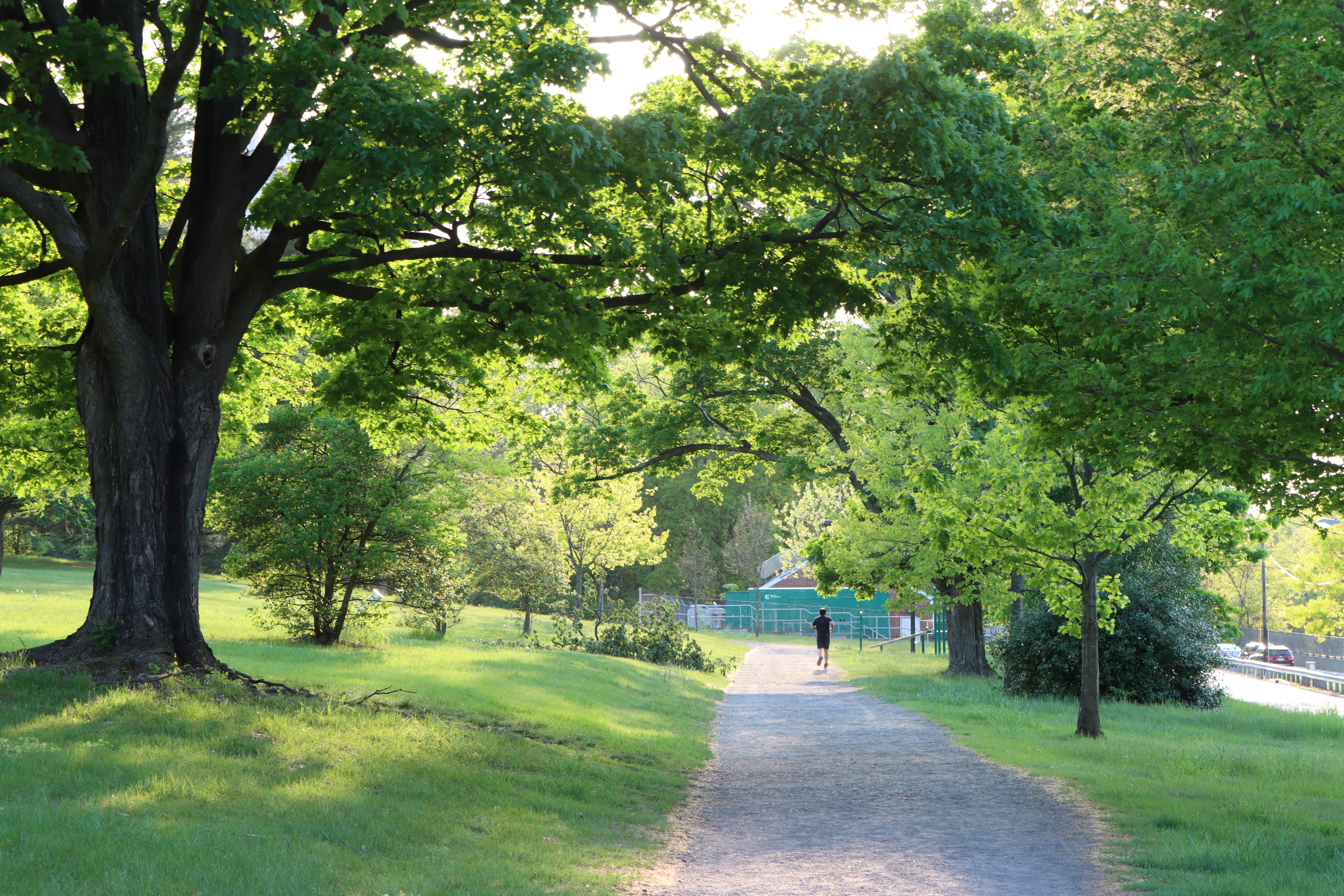 Bucclech Park in New Brunswick, New Jersey