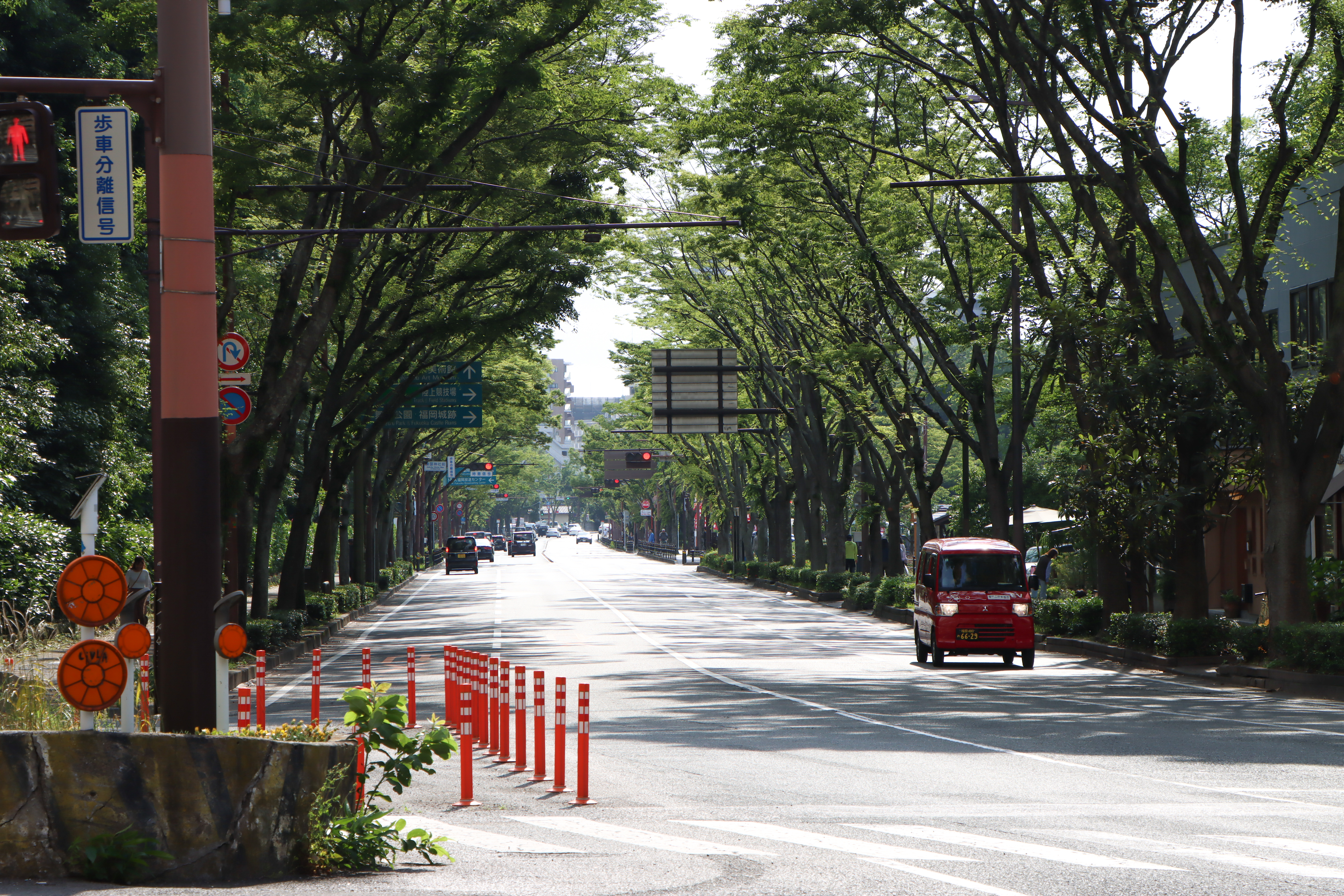 Kokutai-doro Ave., Fukuoka, Japan